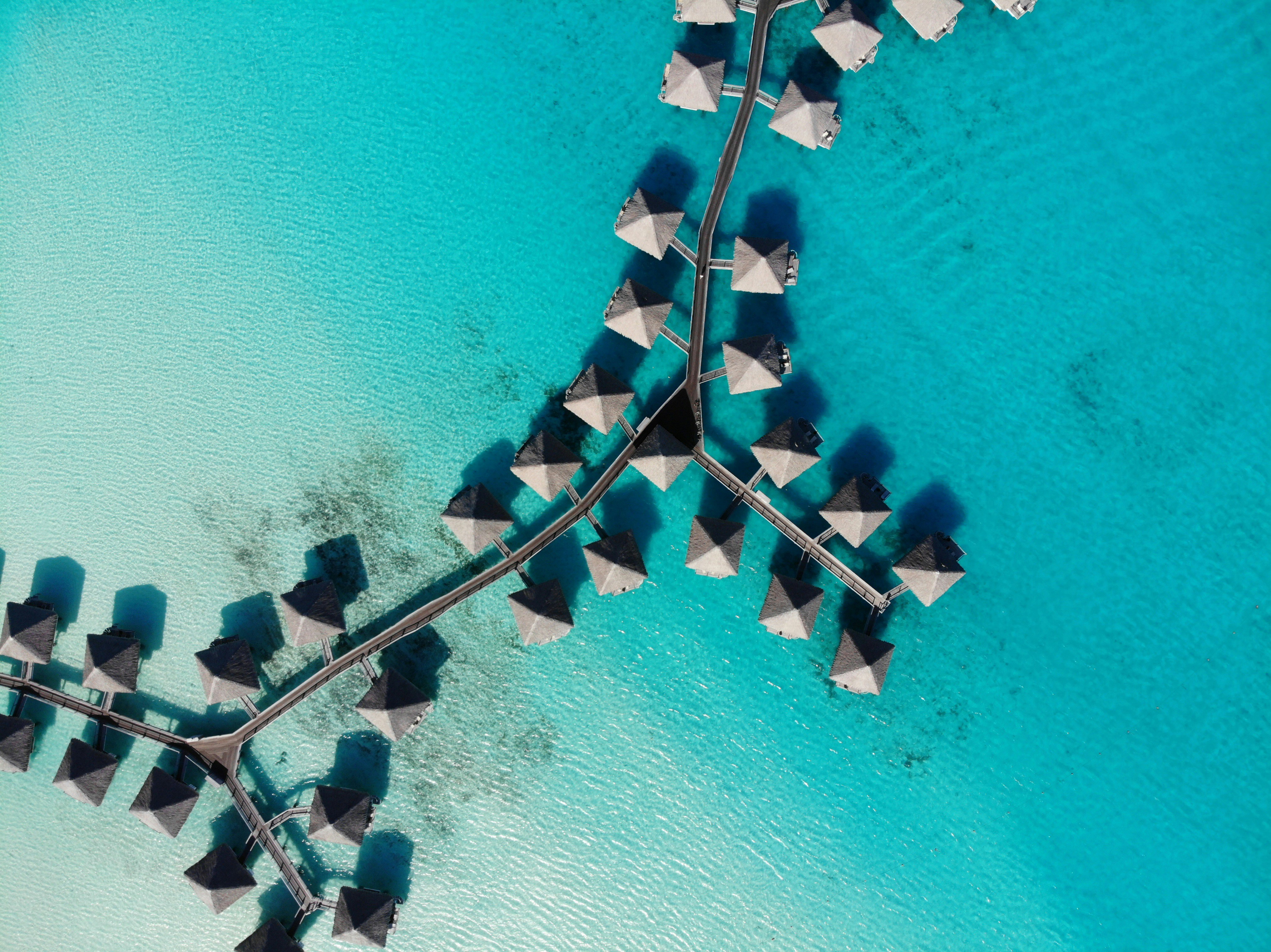 Bora Bora crystal clear coral reef snorkelling stingray