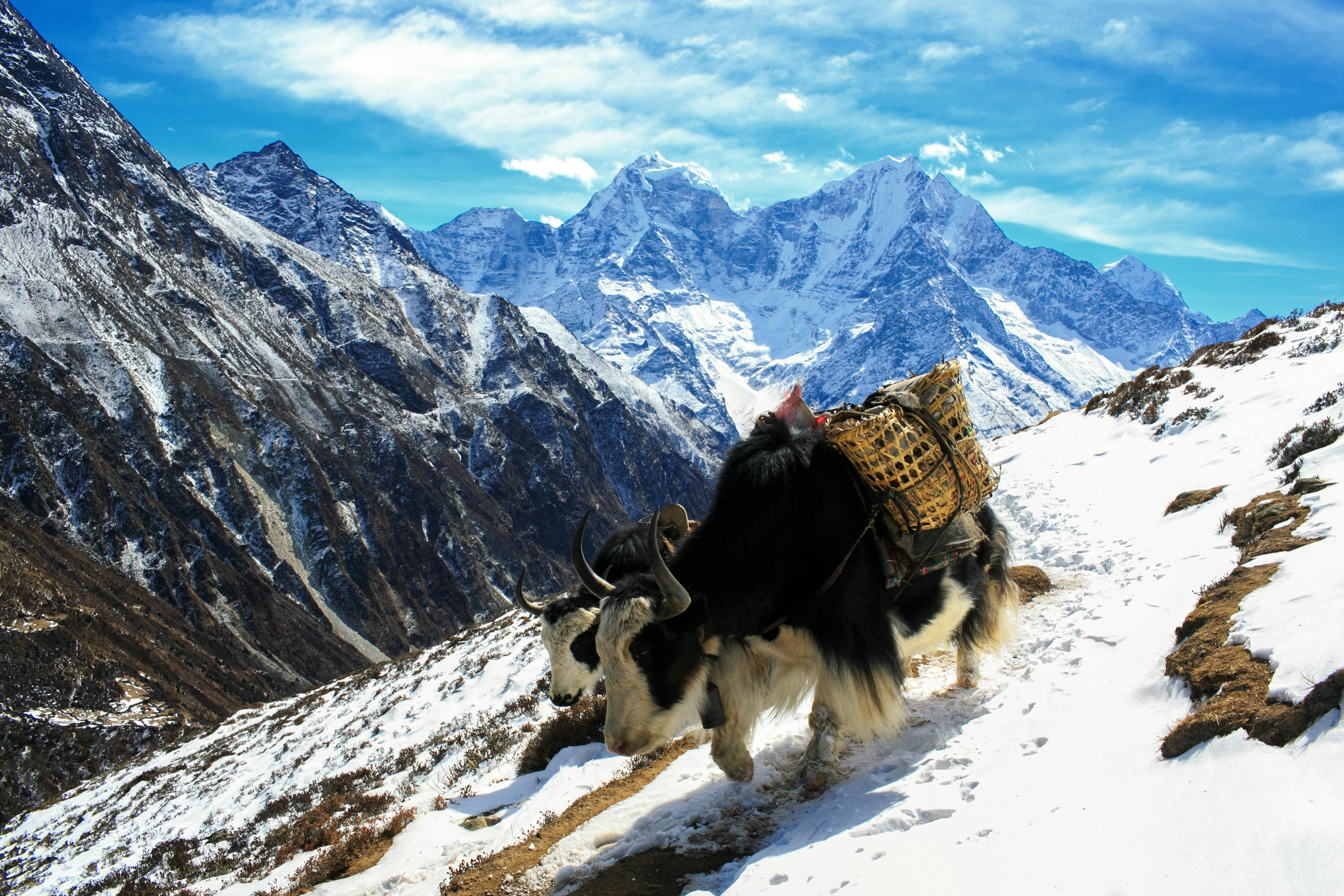Dramatic alpine peaks and deep valley under clear sky