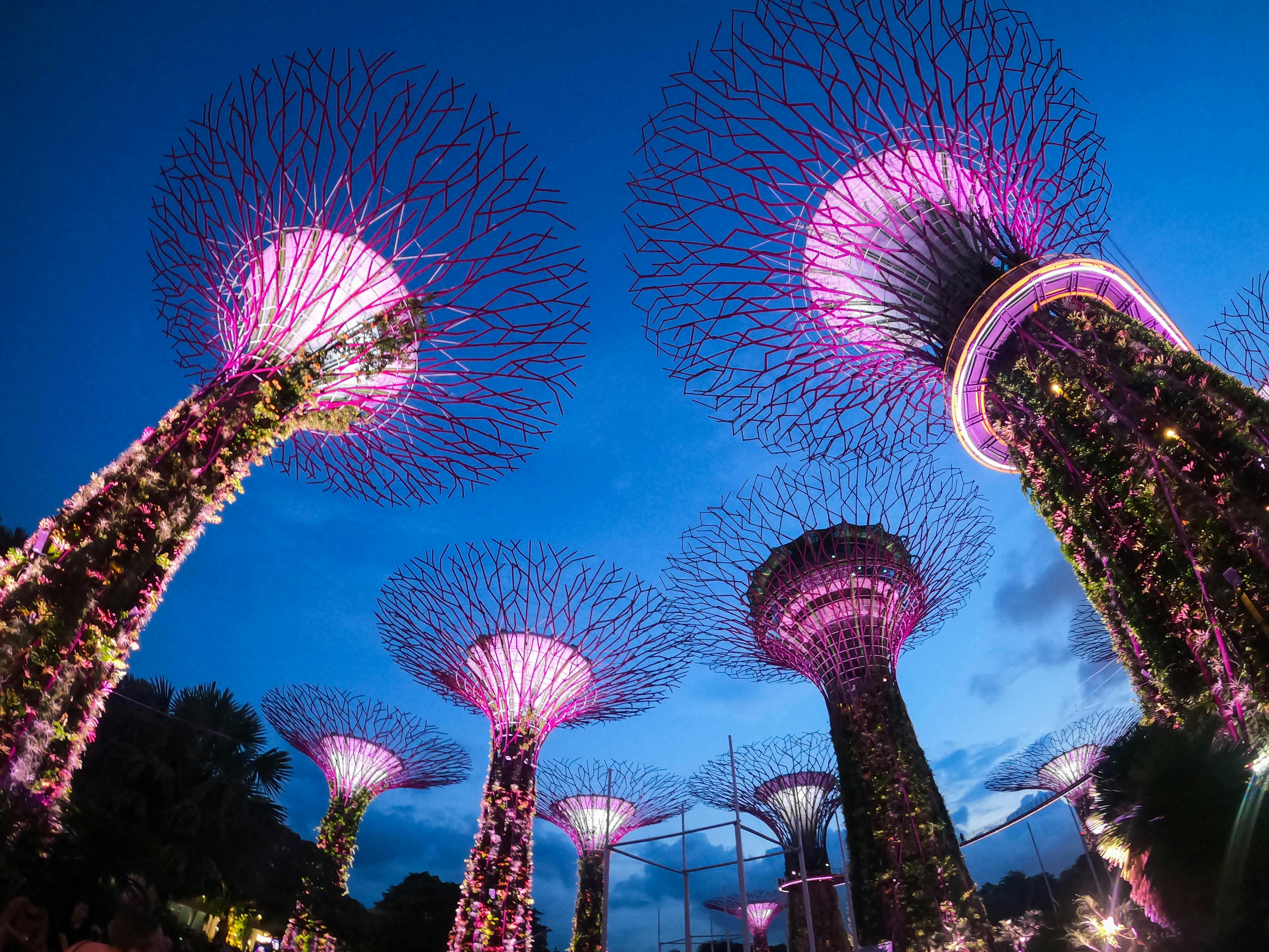 Gardens by the Bay Supertrees night show