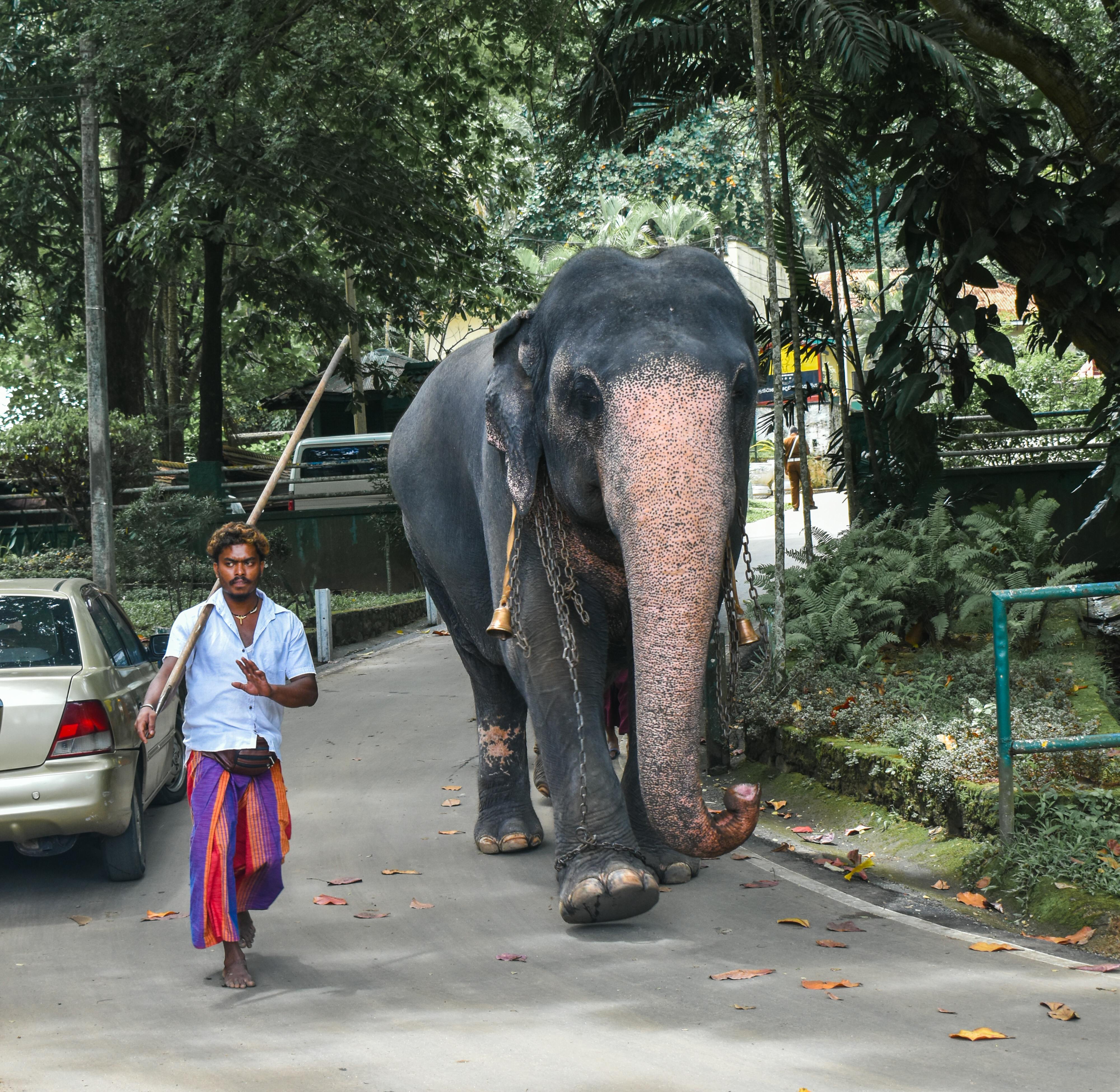 Sri Lanka