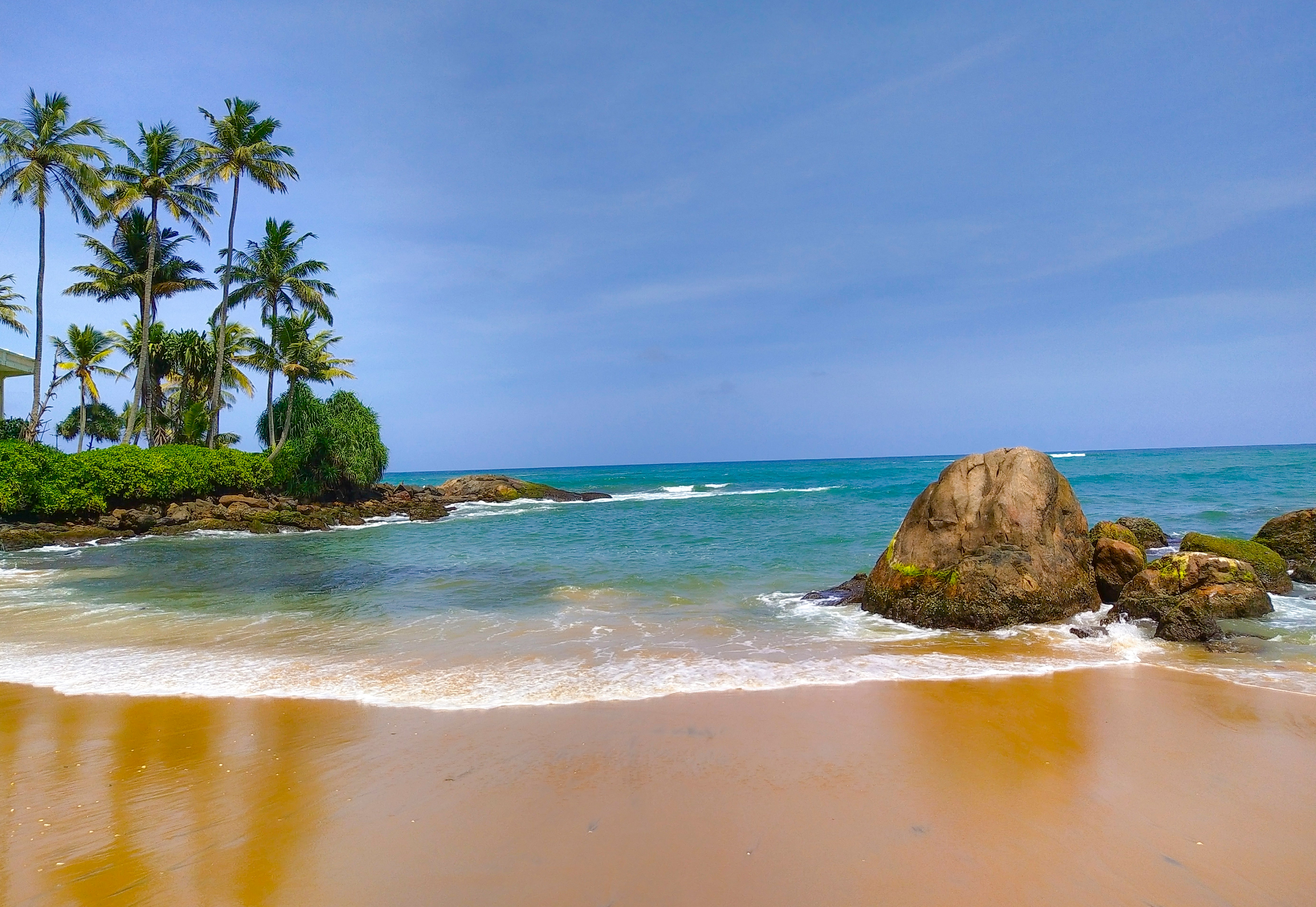 Mirissa beach Sri Lanka whale watching